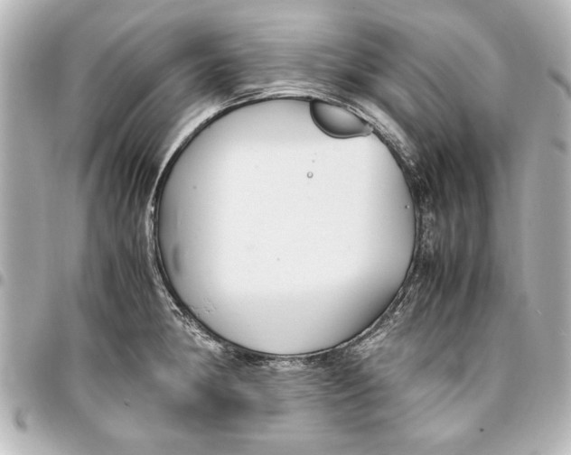 X0000096731190200802261445