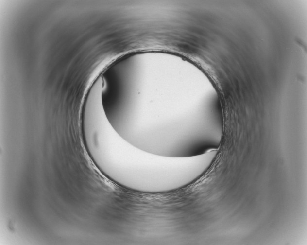 X0000096731191200802261445