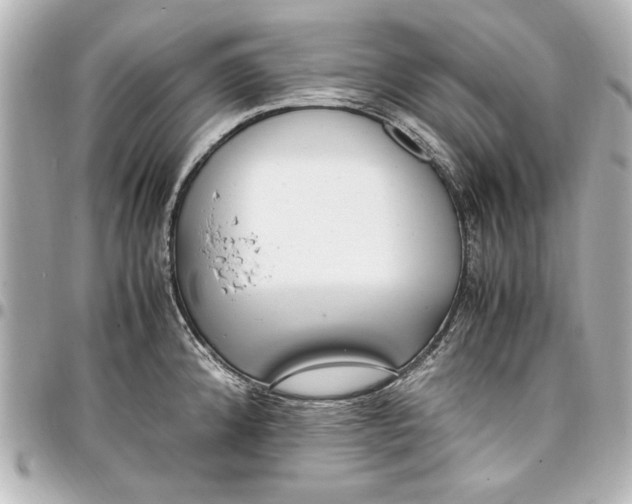 X0000096731192200802261445