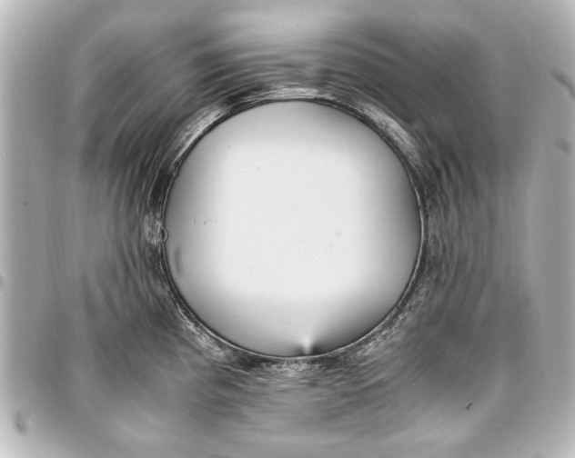 X0000096731193200802261445