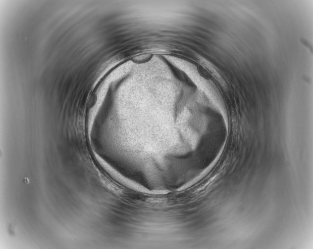 X0000096731194200802261445