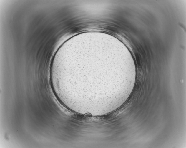 X0000096731195200802261445