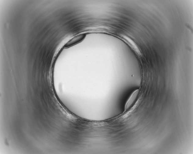 X0000096731196200802261445