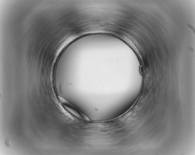 X0000096731197200802261445