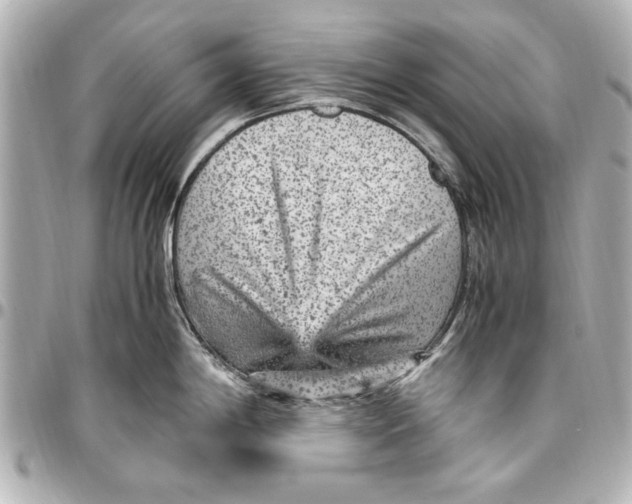 X0000096731198200802261445