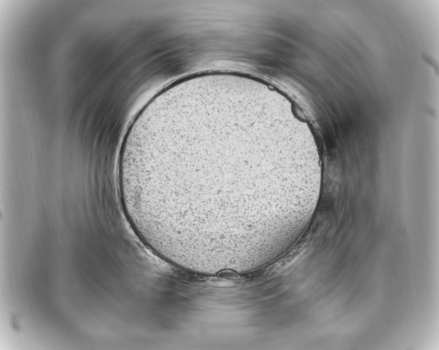 X0000096731199200802261445