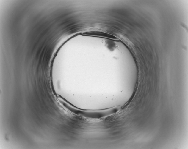 X0000096731200200802261445