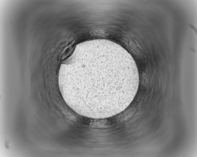 X0000096731201200802261444