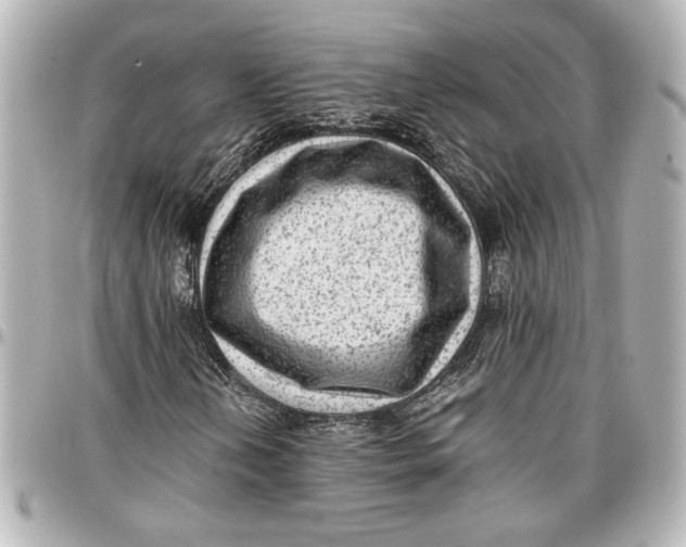 X0000096731202200802261444