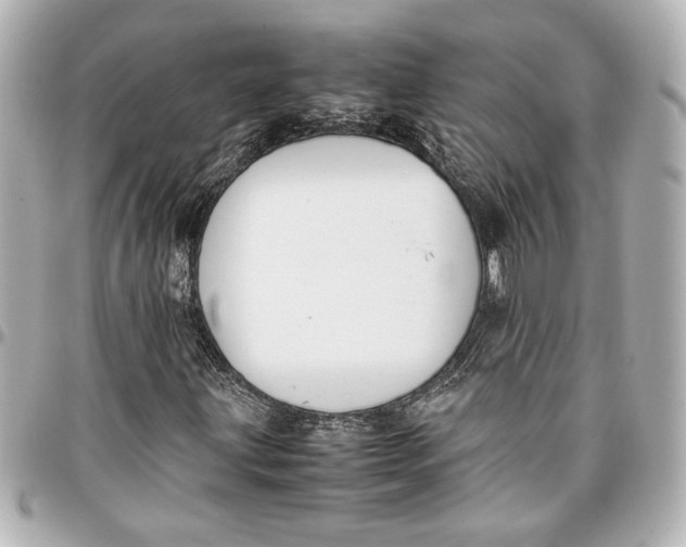 X0000096731203200802261444