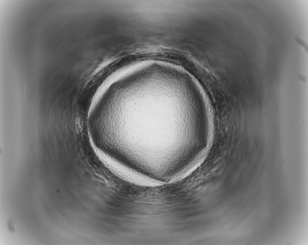 X0000096731206200802261444