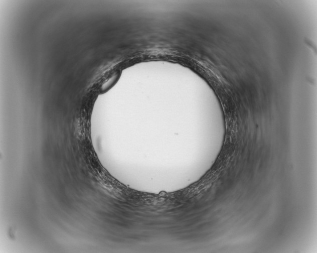 X0000096731207200802261444