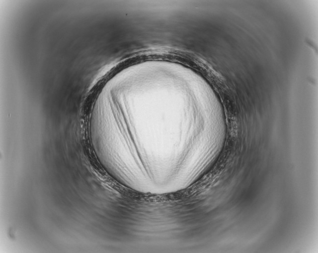 X0000096731208200802261445