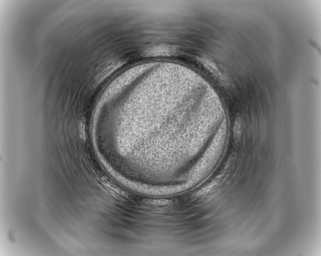 X0000096731209200802261445