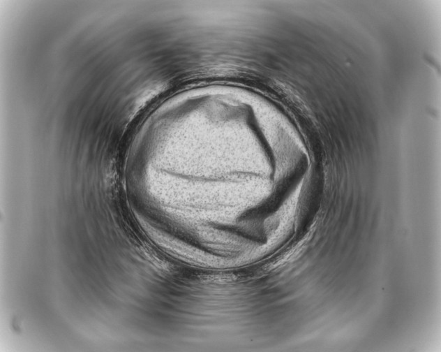 X0000096731210200802261445