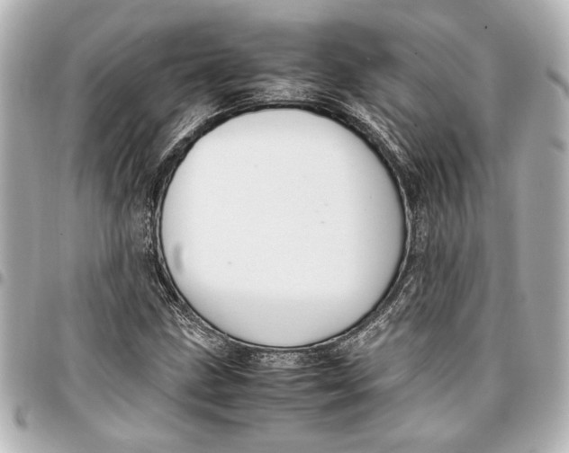 X0000096731211200802261445