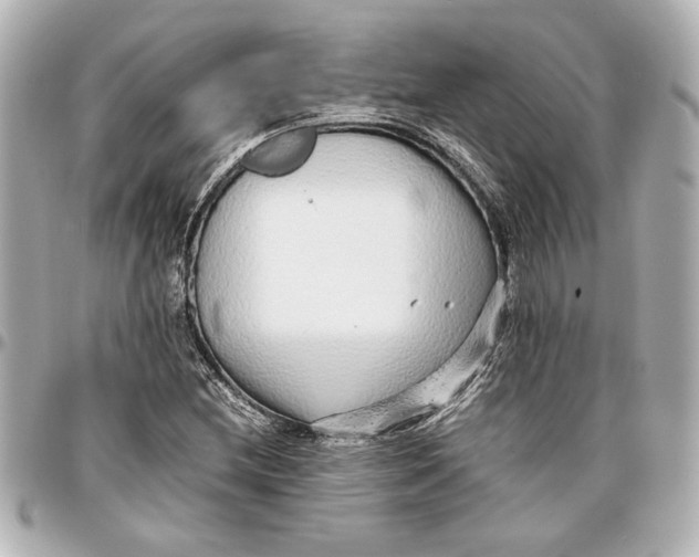 X0000096731212200802261445