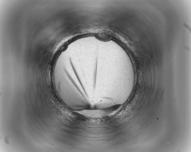 X0000096731214200802261445