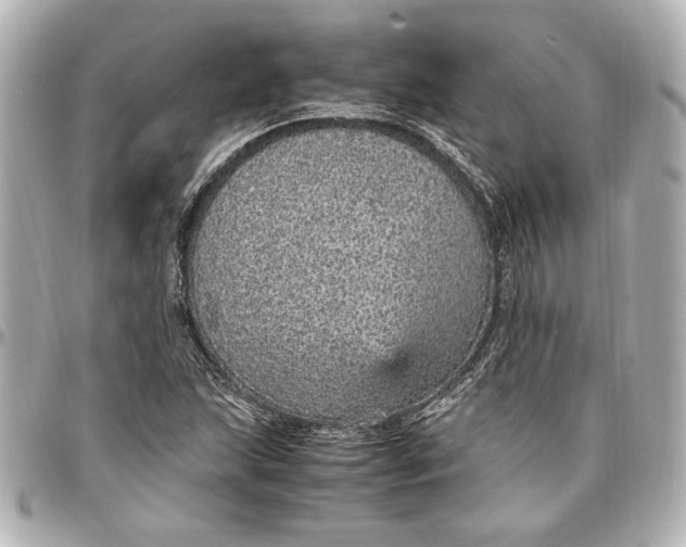 X0000096731215200802261445