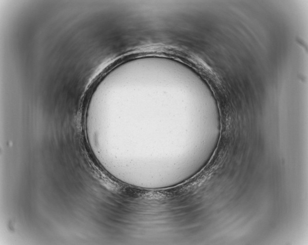 X0000096731216200802261445