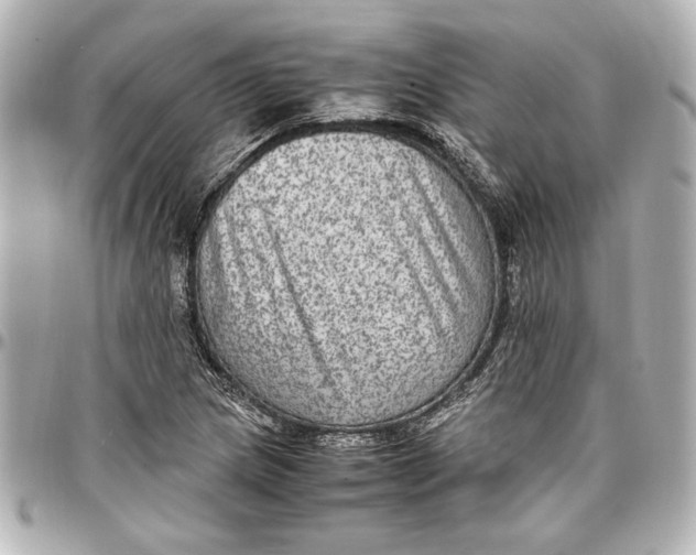 X0000096731217200802261445