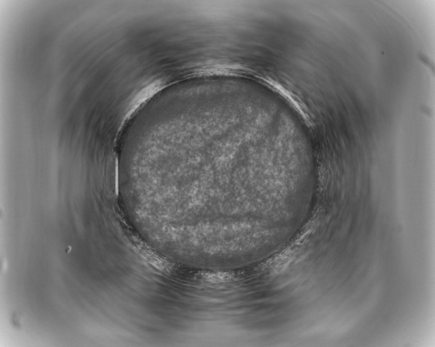 X0000096731219200802261445