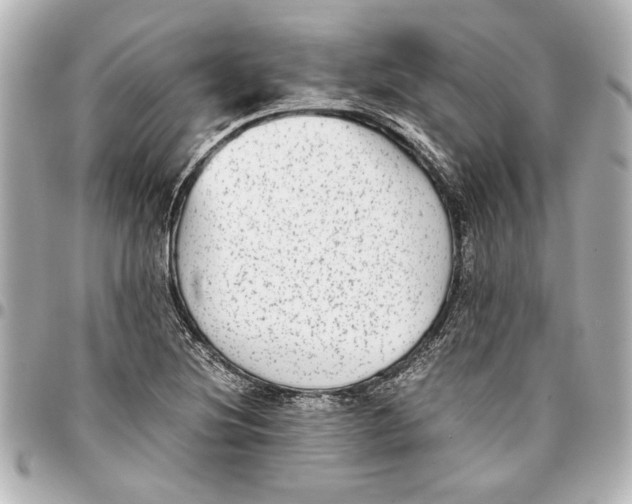 X0000096731220200802261445