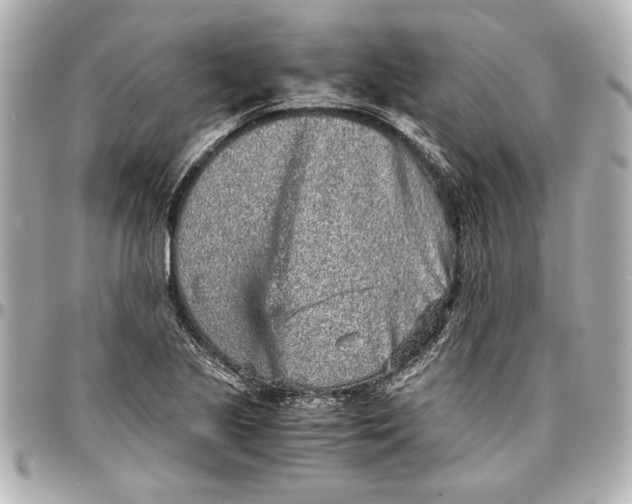 X0000096731221200802261445