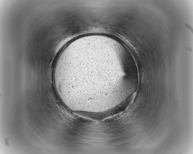 X0000096731222200802261445