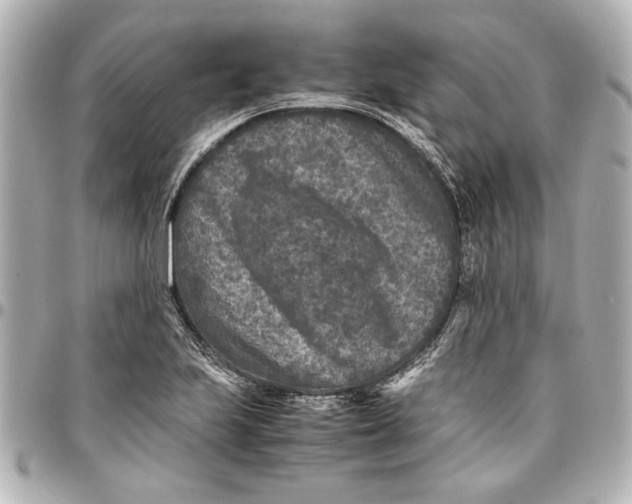 X0000096731223200802261445