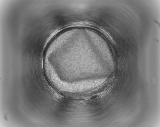 X0000096731224200802261445