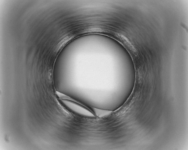 X0000096731225200802261445