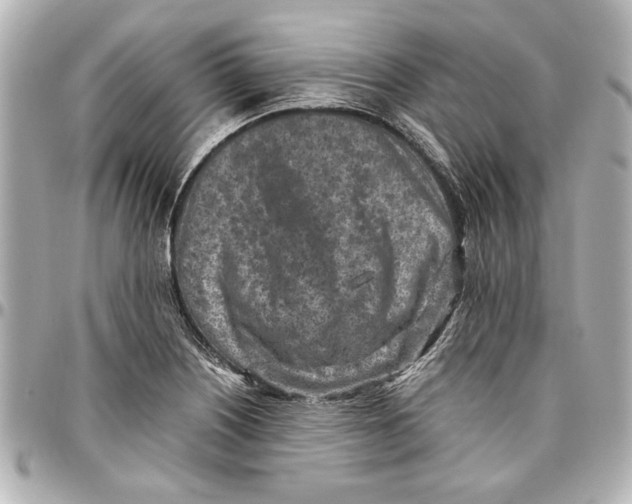 X0000096731226200802261445