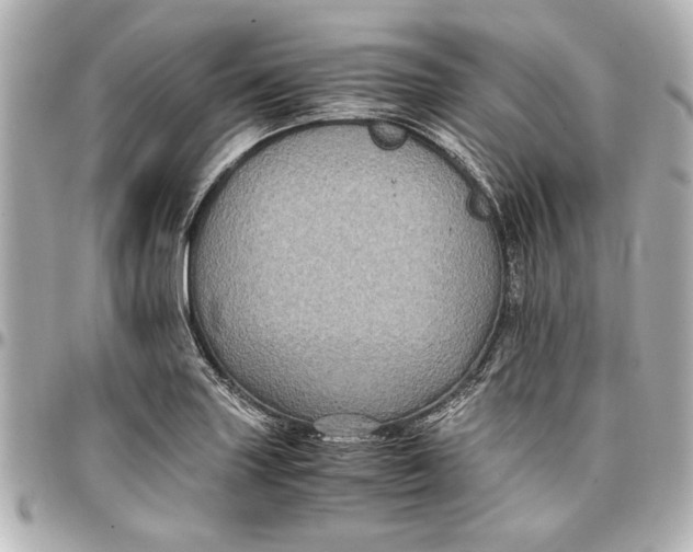 X0000096731227200802261445