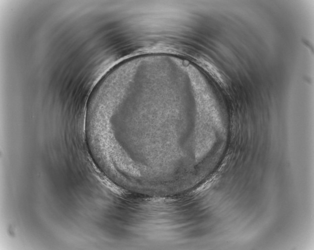 X0000096731228200802261445