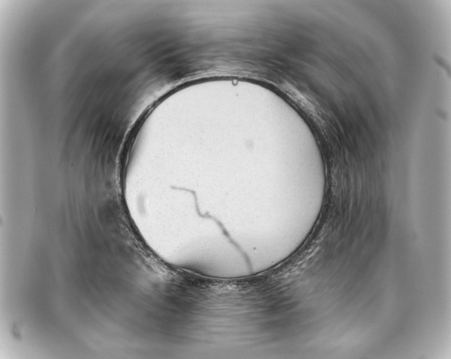 X0000096731230200802261445