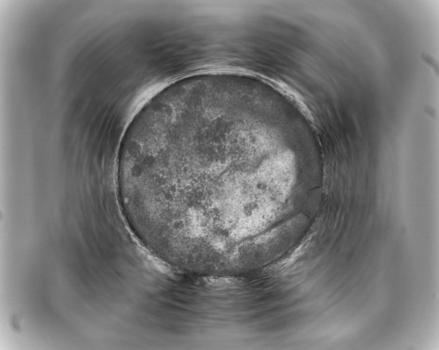 X0000096731231200802261445