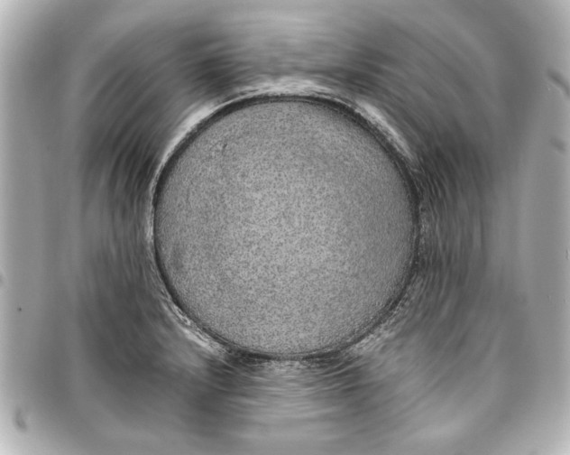 X0000096731232200802261445