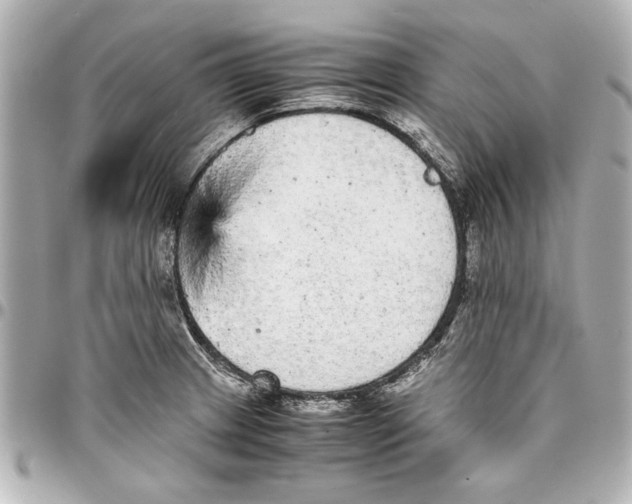 X0000096731233200802261445