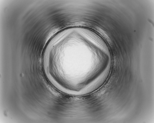 X0000096731234200802261445