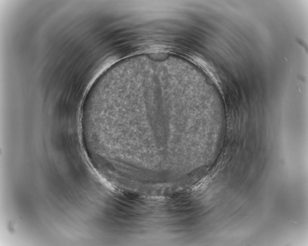 X0000096731235200802261445