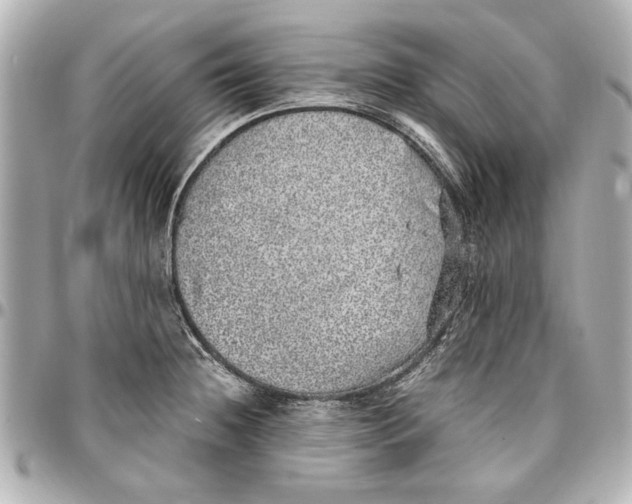 X0000096731236200802261445