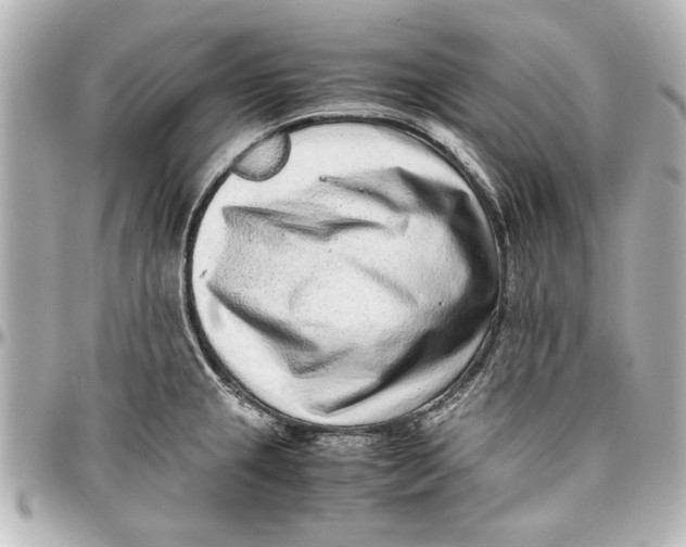 X0000096731237200802261445