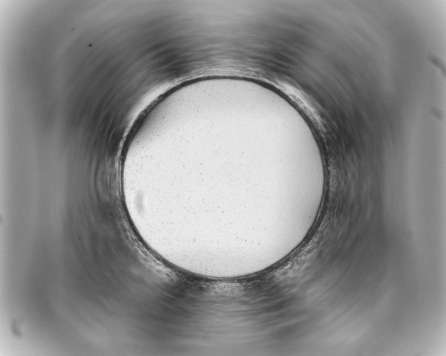 X0000096731238200802261445