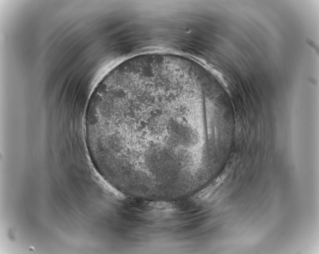 X0000096731239200802261445