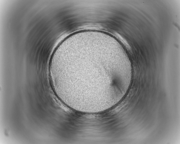 X0000096731240200802261445