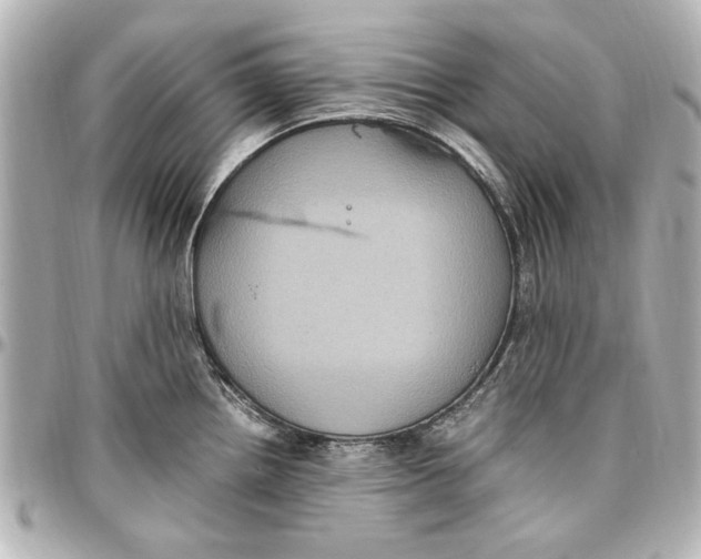 X0000096731242200802261445