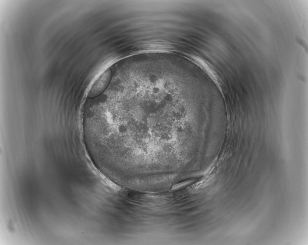 X0000096731243200802261445