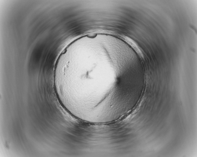 X0000096731244200802261445