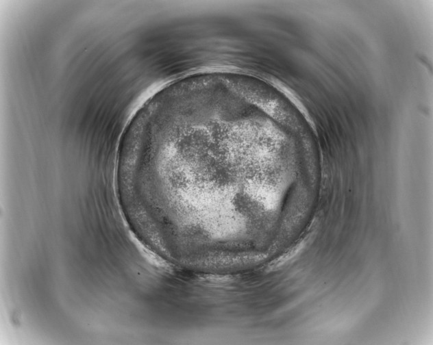 X0000096731245200802261445